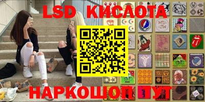 прущие крисы Новозыбков