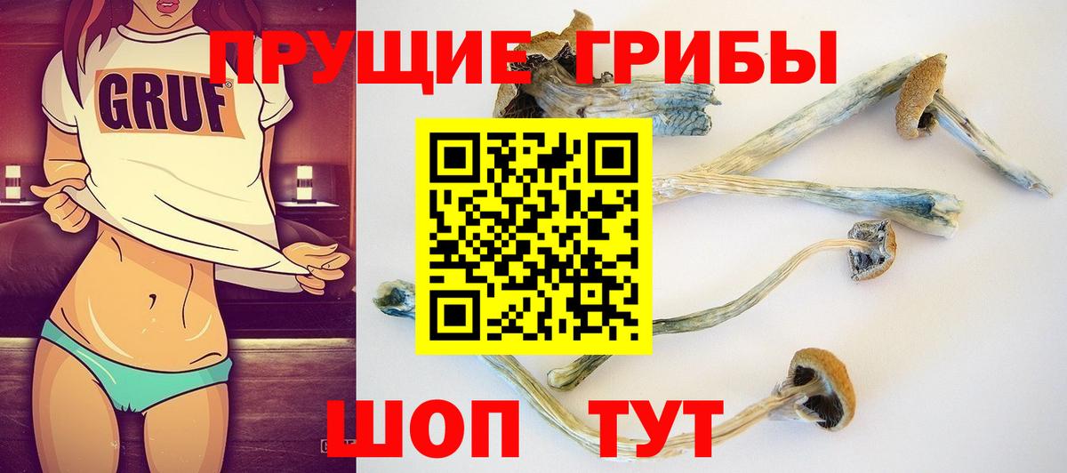 Псилоцибиновые грибы Cubensis  Вход с VPN  сколько стоит  Тольятти 